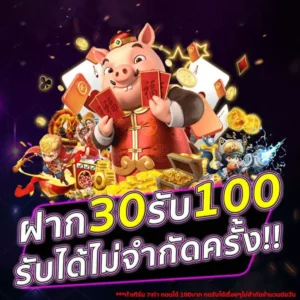 โปรโมชั่น 30รับ100