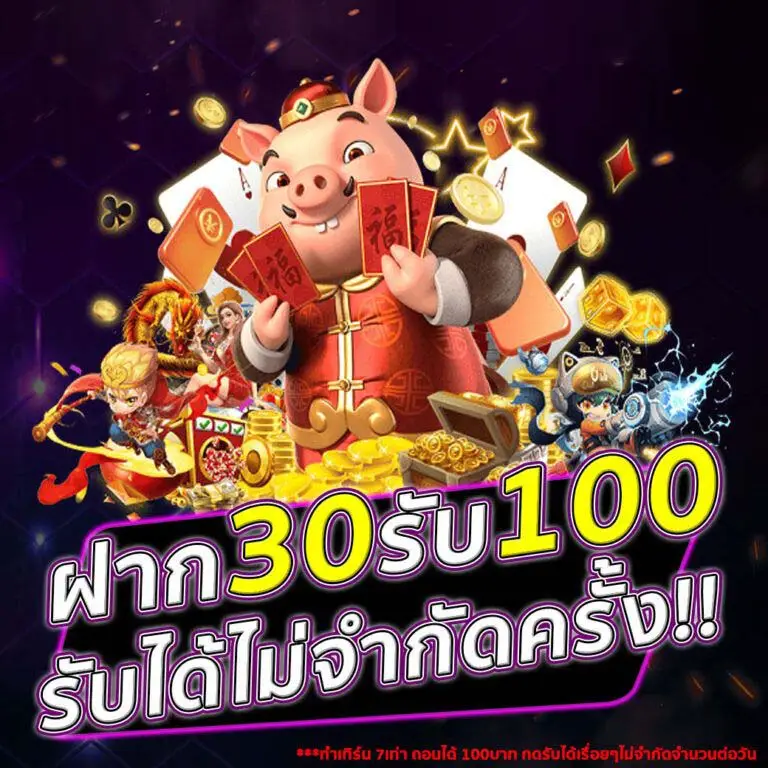 โปรโมชั่น 30รับ100